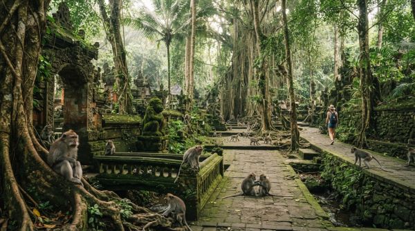 Explorez l'envoûtement de la forêt des singes à ubud